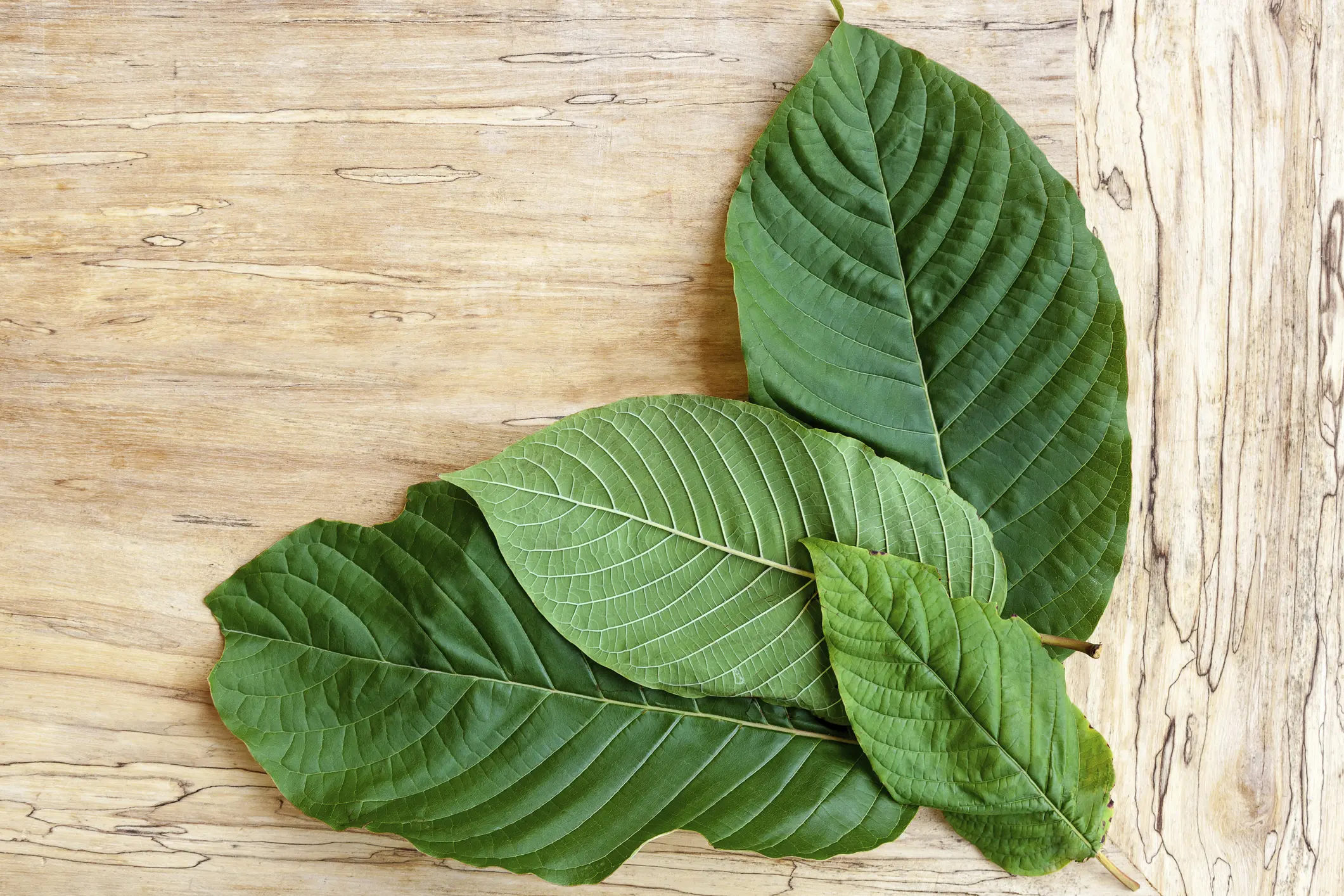 Is Kratom Really Safe? What You Should Know