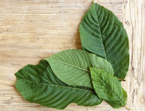 Is Kratom Really Safe? What You Should Know